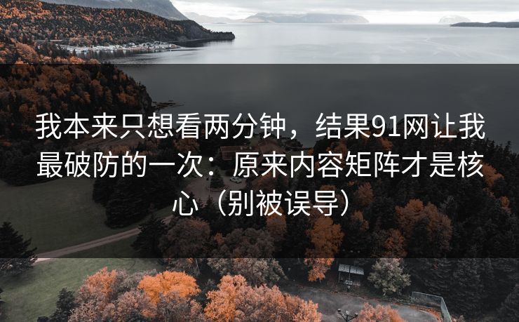 我本来只想看两分钟，结果91网让我最破防的一次：原来内容矩阵才是核心（别被误导）