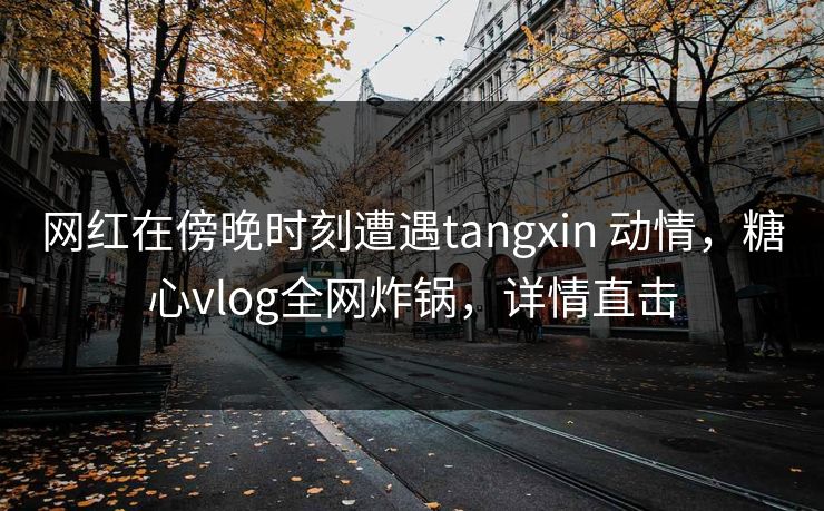 网红在傍晚时刻遭遇tangxin 动情，糖心vlog全网炸锅，详情直击