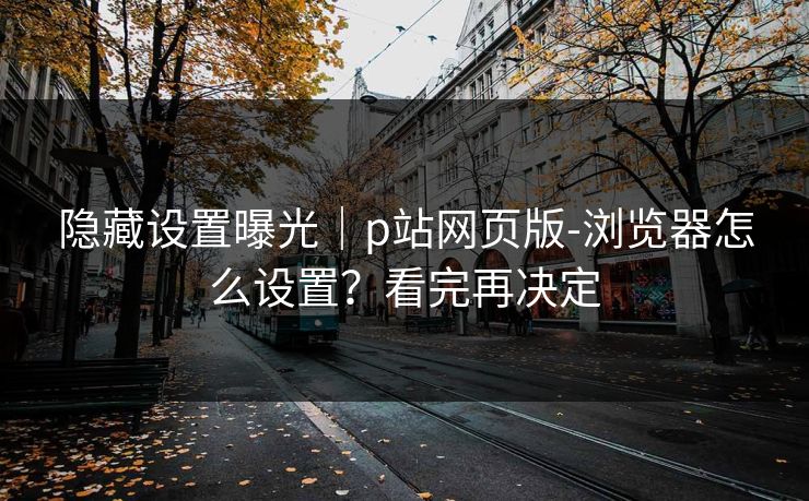隐藏设置曝光｜p站网页版-浏览器怎么设置？看完再决定